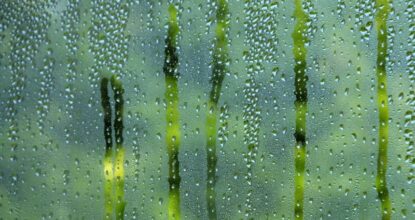 Humidite dans les batiments